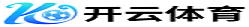 AYX·爱游戏